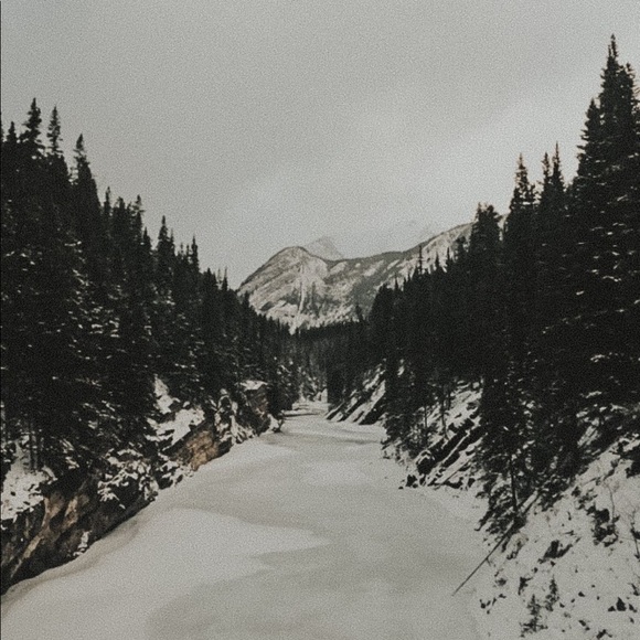 Meet your Posher, Shaylene - Picture 1 of 1